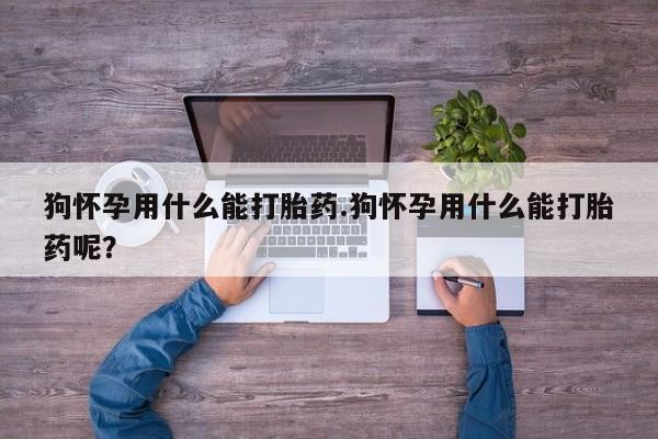 米非司酮打胎药官网狗怀孕用什么能打胎药.狗怀孕用什么能打胎药呢？