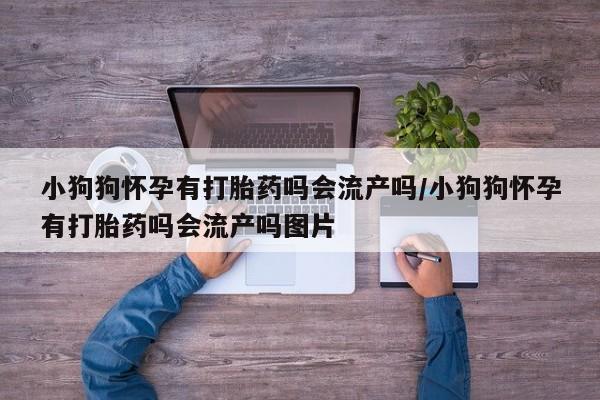 米非司酮打胎药官网小狗狗怀孕有打胎药吗会流产吗/小狗狗怀孕有打胎药吗会流产吗图片