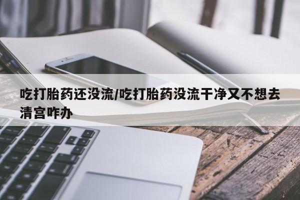 米非司酮打胎药官网吃打胎药还没流/吃打胎药没流干净又不想去清宫咋办