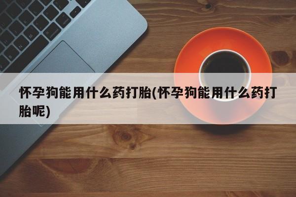 米非司酮打胎药官网怀孕狗能用什么药打胎(怀孕狗能用什么药打胎呢)